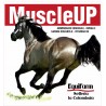 MuscleUp 4 kg massa muscolare e performance