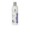 Potente smacchiatore Gallop Stain Remover shampoo - 500 ml CARR & DAY & MARTIN