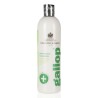 CARR & DAY & MARTIN  SHAMPOO Medicato GALLOP