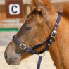 Capezza Puledro ARMA FOAL SLIP con attacco