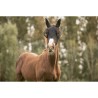 Maschera LAMI-CELL LYCRA FLY MASK