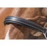 Capezza in pelle "GROOMING”  con targa LEATHER HEADCOLLAR