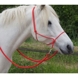 Realizza tu stesso gli accessori per Hobby Horse: istruzioni per capezze  con nodi, cavezze normali e longhine PDF, tedesco kullaloo -  Italia